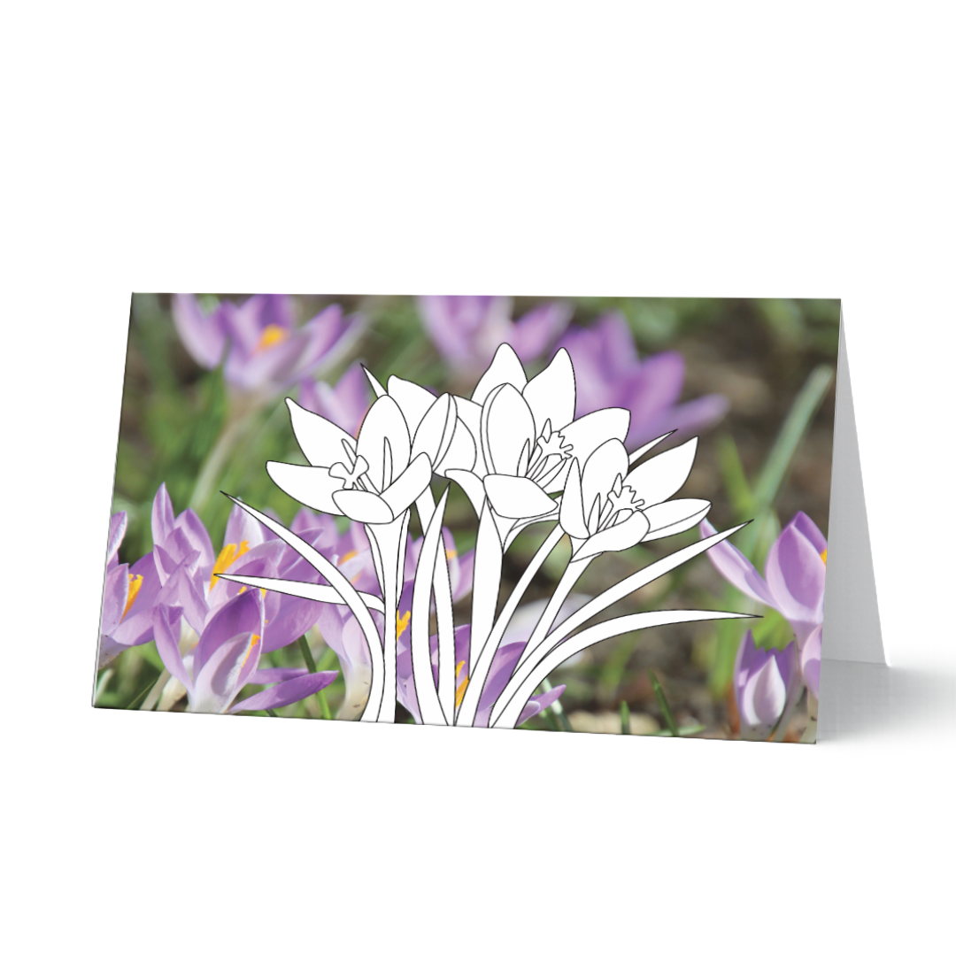 Ausmalbare Grußkarte mit Krokus-Motiv auf Fotohintergrund - 
Frühlingsgruß zum Selbstgestalten
