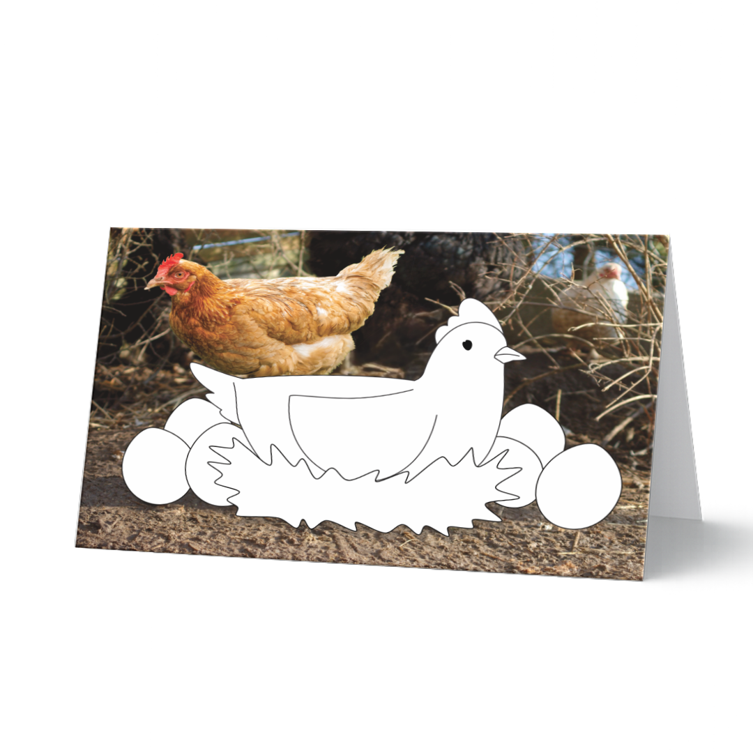 Ostergrußkarte zum Ausmalen aus dem Grußkarten-Set (5 Stück) "Hasenglück & Eierspaß". Eine Henne auf einem Nest mit Eiern als Ausmalvorlage vor einem Fotohintergrund mit echten Hühnern im Hintergrund.