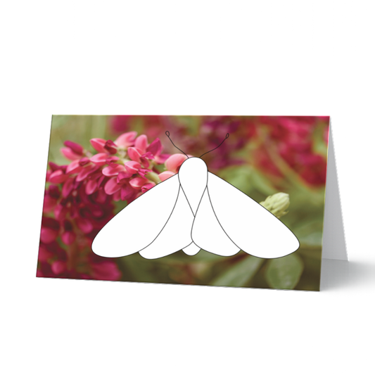 Grußkarte aus dem Schmetterlings-Set "Flügelleicht" zum Ausmalen auf Fotohintergrund. Weißer Schmetterling als Ausmalmotiv vor einem Hintergrund aus leuchtend roten Lupinen. 