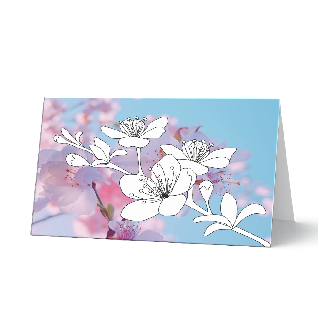 Grußkarte aus dem Grußkarten-Set (5 Stück) "Frühlingsgrüße" zum Ausmalen auf Fotohintergrund. Detaillierte Kirschblüten als Ausmalvorlage vor einem hellblauen Fotohintergrund mit rosa Kirschblüten.