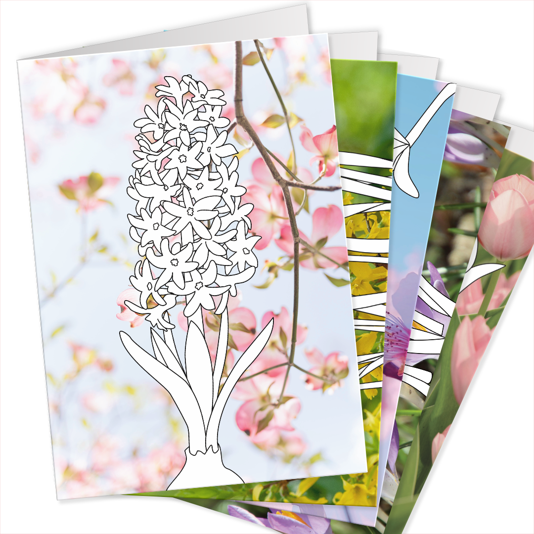 Grußkarten zum Ausmalen für den Frühling: Hyazinthe, Krokus, Tulpe und weitere Frühlingsblumen auf echten Fotohintergrund.