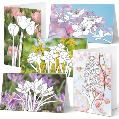 Grußkarten-Set Frühlingsgrüße mit 5 Karten zum Ausmalen - 
Frühlingsblumen auf Fotohintergrund
