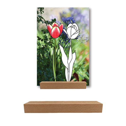 Stabiler Kartenhalter für Malkarten, gefertigt aus robustem Material, ideal zur sicheren Befestigung und einfachen Präsentation von Kunstwerken. Der Halter sorgt für eine aufrechte Positionierung der Malkarten und erleichtert das kreative Arbeiten.
