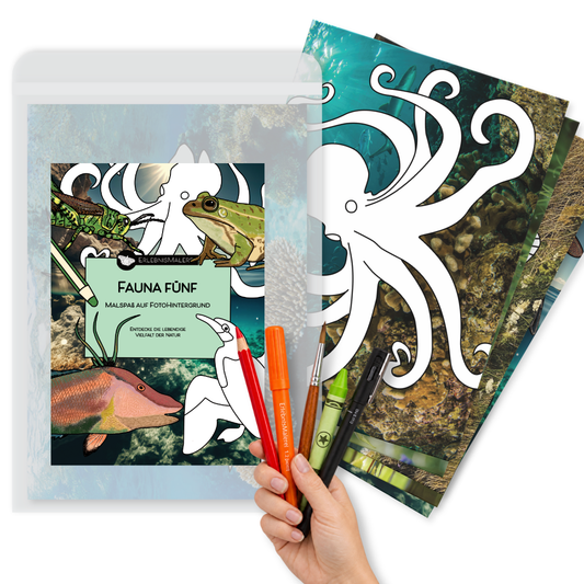 Malkarten-Set "Fauna Fünf"