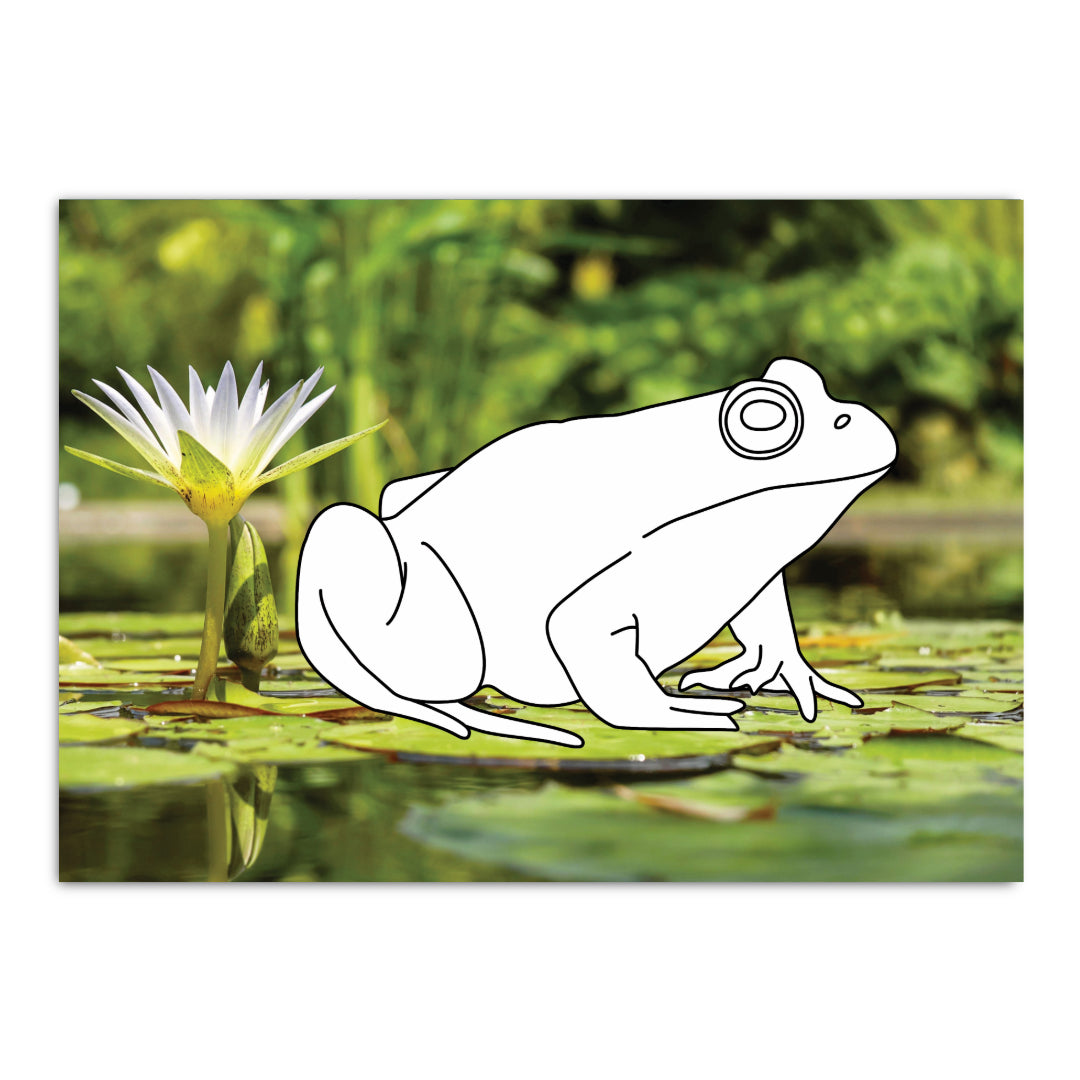 Malkarte mit Frosch. Lebendiges Amphibienmotiv auf wunderschönen Fotohintergrund.