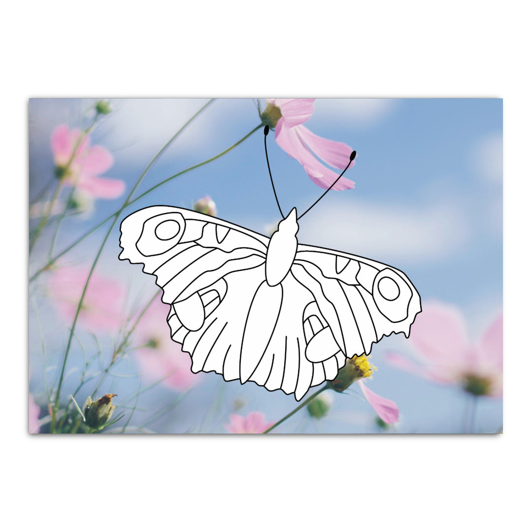 Malkarte mit Schmetterling. Zartes Flügelmotiv zum Ausmalen.