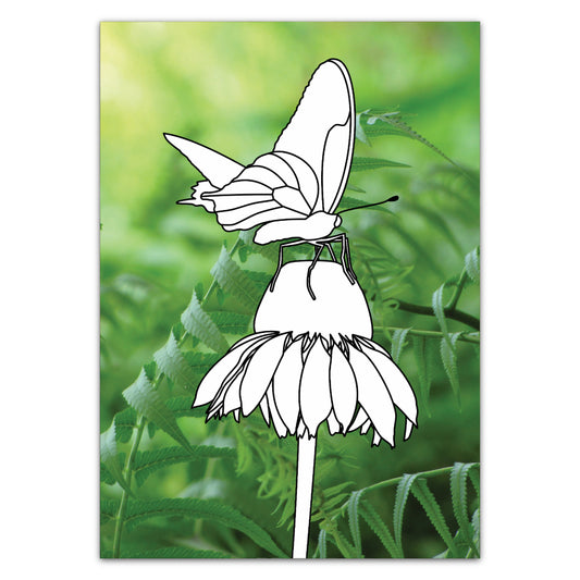 Malkarte mit Sonnenhut-Blume und Schmetterling. Ein tolles Ausmalbild.