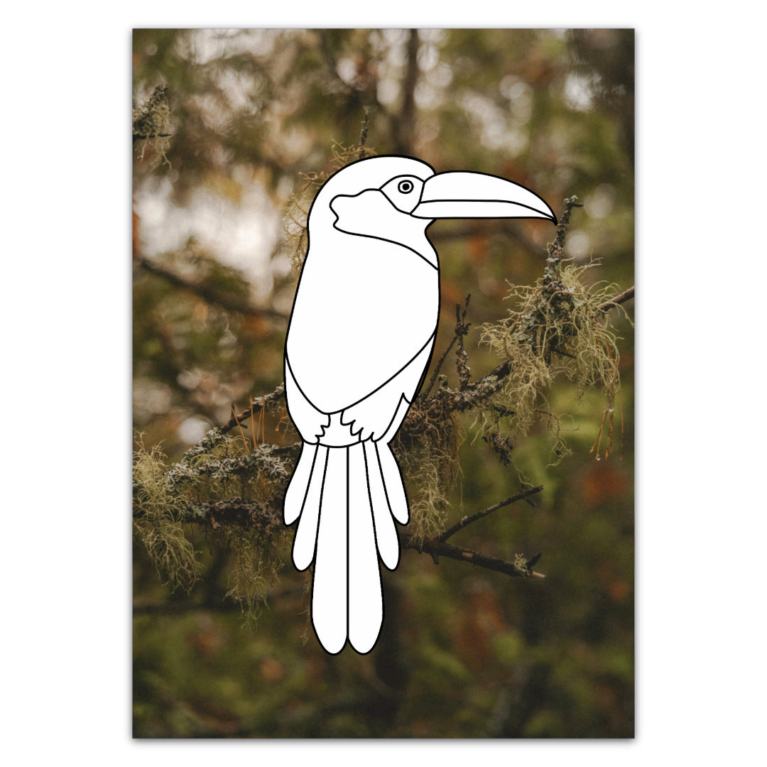 Malkarte mit Tukan. Farbenfroher Vogel zum kreativen Ausmalen. 