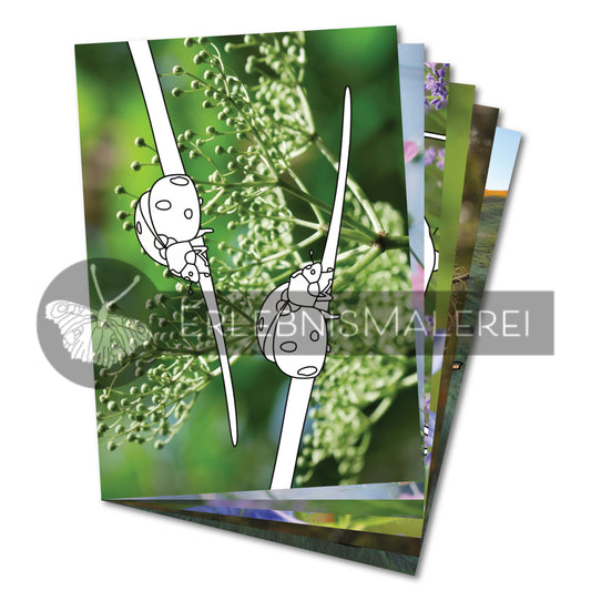 Ansicht der Malkarten aus dem Malkarten-Malbuch „Flügelspiel“ von ErlebnisMalerei. Mehrere Ausmalmotive auf Fotohintergrund, vorne mit Marienkäfern auf grüner Pflanze. Kreative Tiermotive mit Fotohintergrund zum Ausmalen und Entspannen.