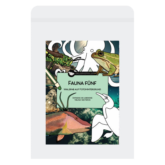 Malkarten-Set Fauna Fünf. Kormoran, Frosch, Oktopus, Heuschrecke und Fisch. Pfiffige Alternative zum Malbuch.