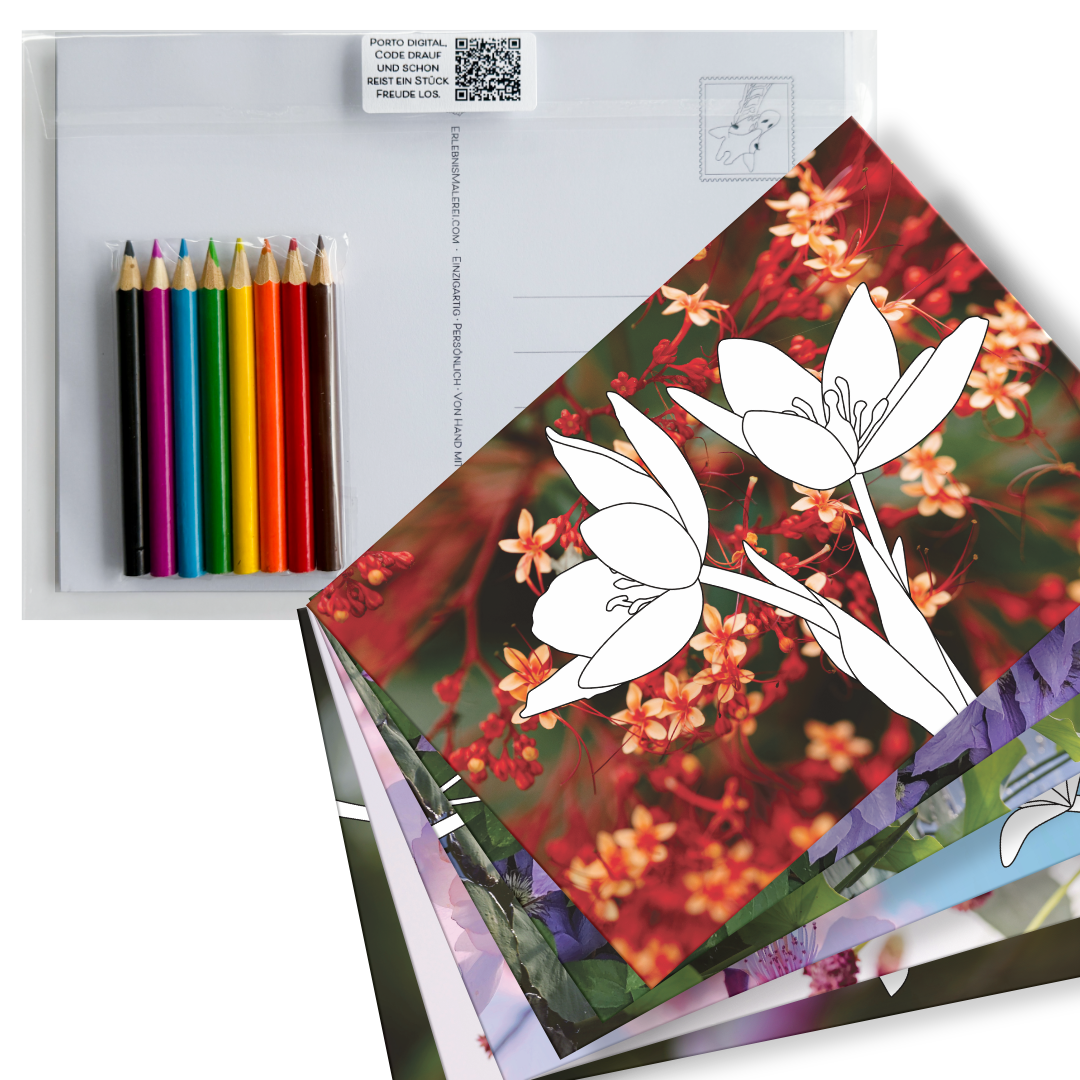 Postkarten-Set "Blossom" (6 Stück) zum Ausmalen auf Fotohintergrund mit 8 kleinen Buntstiften. Gezeigt wird das Set gefächert. Obenauf liegt als Ausmalbild 2 Blüten und ein Fotohintergrund aus orangefarbenen zarten Blüten. 
