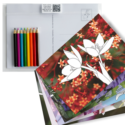 Postkarten-Set "Blossom" (6 Stück) zum Ausmalen auf Fotohintergrund mit 8 kleinen Buntstiften. Gezeigt wird das Set gefächert. Obenauf liegt als Ausmalbild 2 Blüten und ein Fotohintergrund aus orangefarbenen zarten Blüten. 