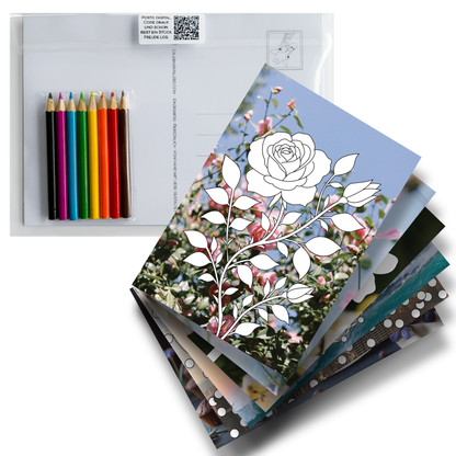 Postkarten Set "Lieblingsgruß"