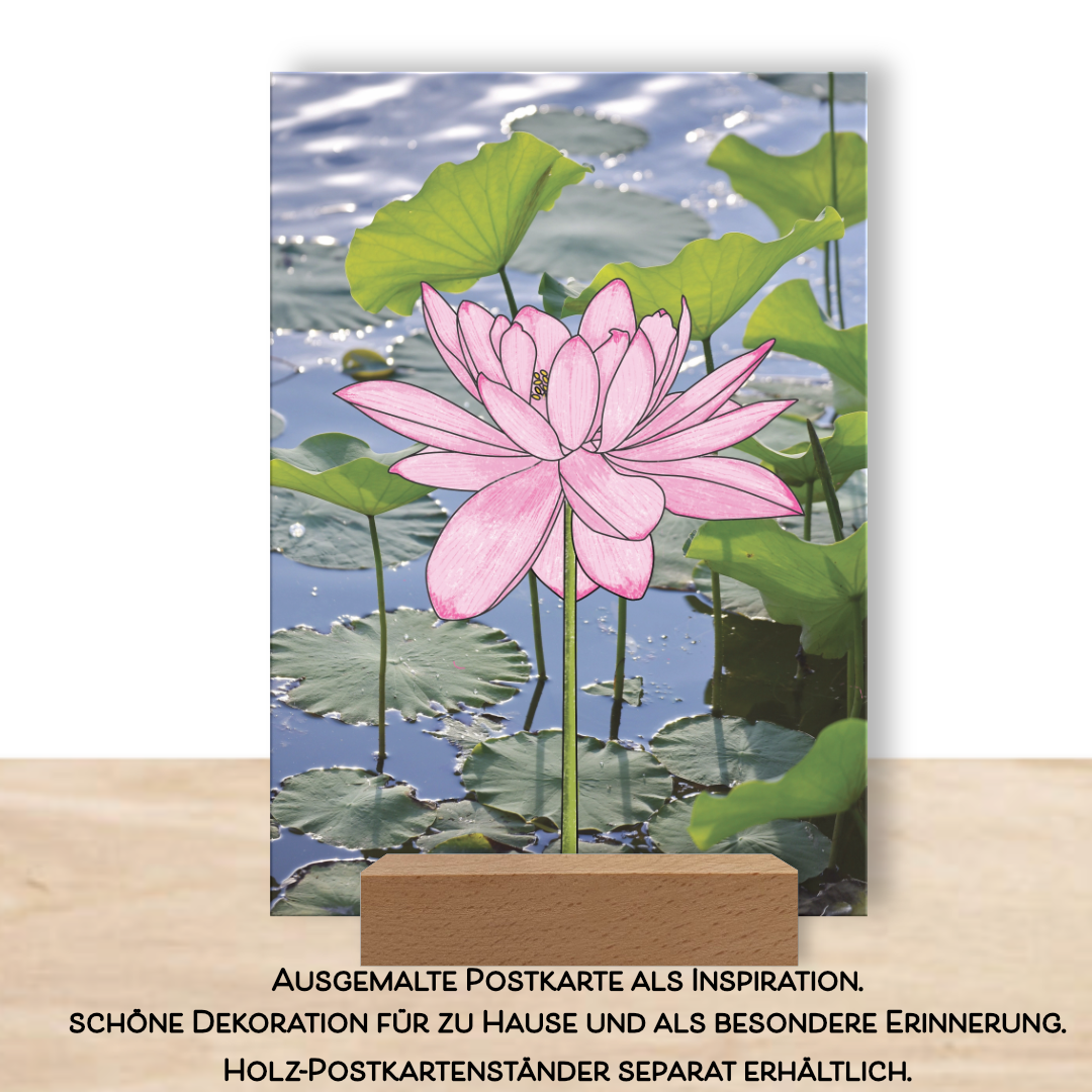 Fertig ausgemalte Postkarte aus dem Postkarten-Set "Blossom" (6 Stück) als Inspiration. Aufgestellt als Dekoration im Postkartenständer aus Holz. 