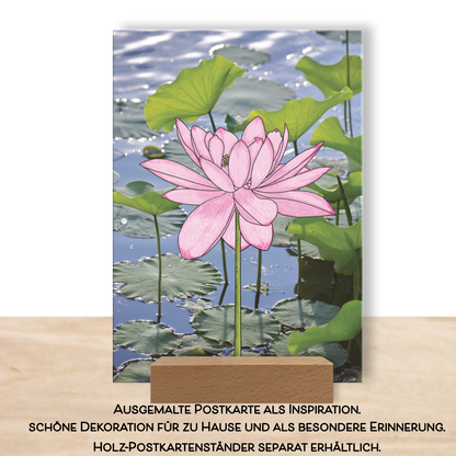 Fertig ausgemalte Postkarte aus dem Postkarten-Set "Blossom" (6 Stück) als Inspiration. Aufgestellt als Dekoration im Postkartenständer aus Holz. 
